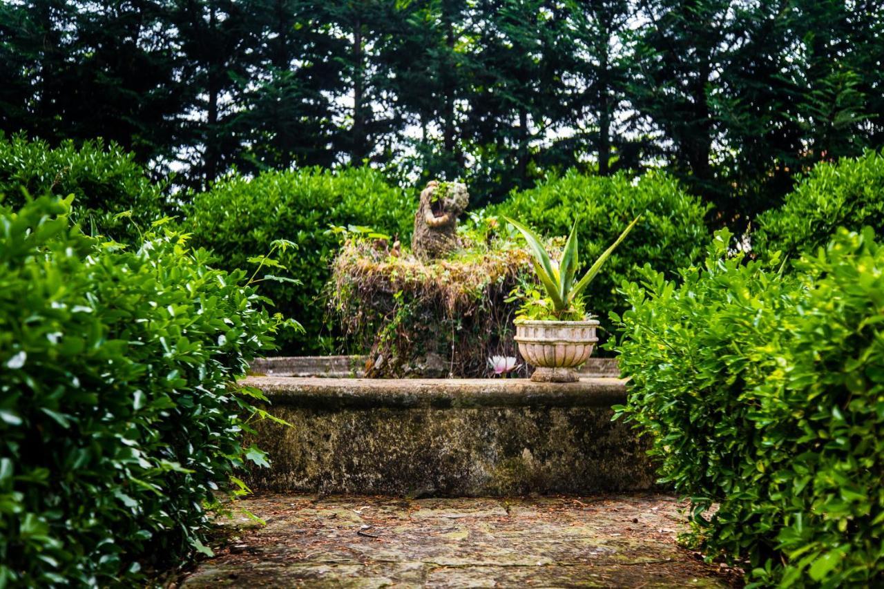 Casa Matilde Bed and Breakfast Mommio Εξωτερικό φωτογραφία